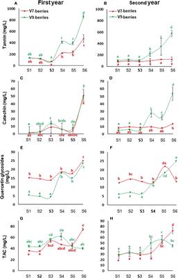 Unraveling the occasional occurrence of berry astringency in table grape cv. Scarlet Royal: a physiological and transcriptomic analysis